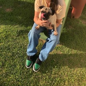 Meet your Posher, Daisy